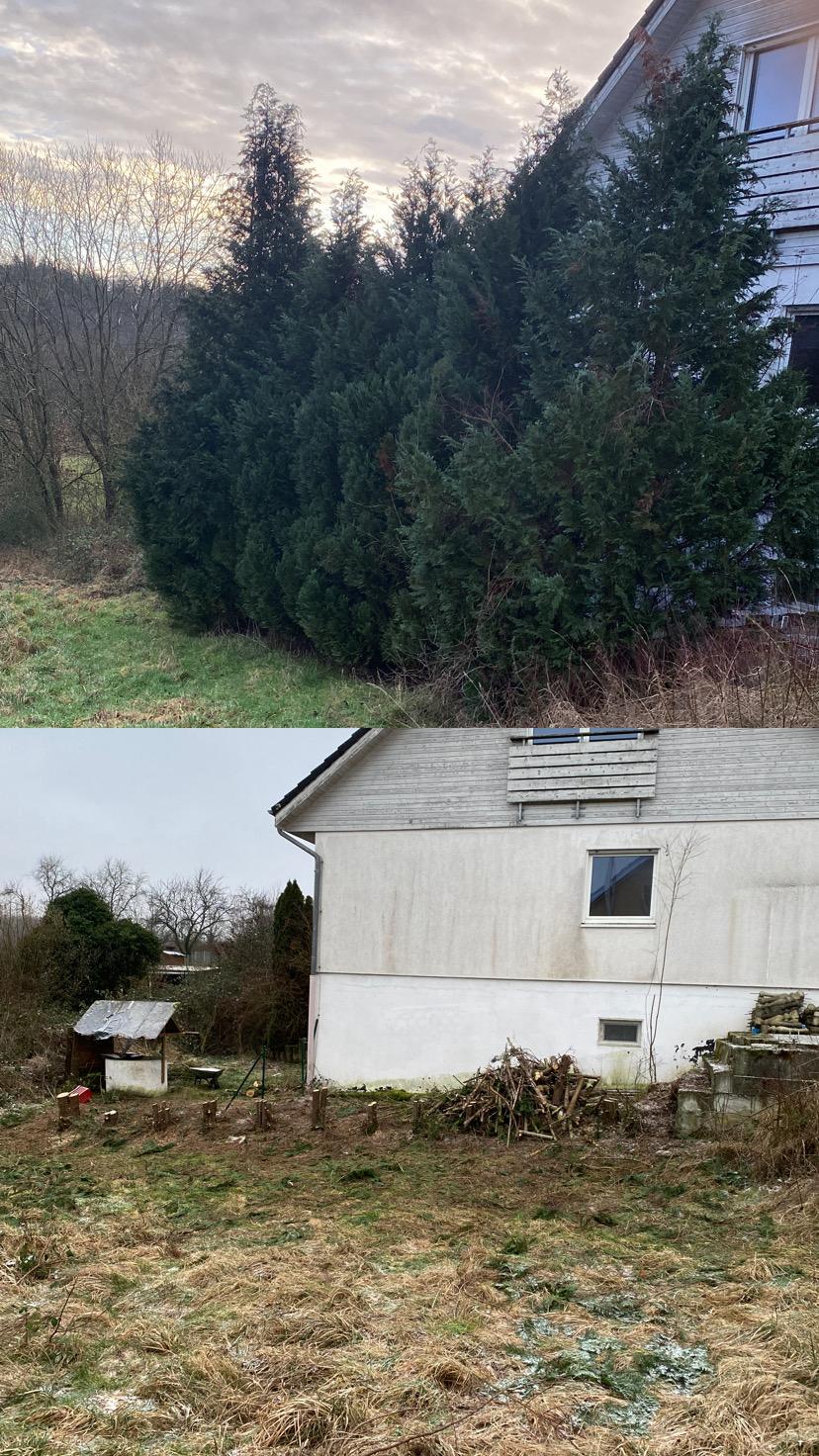 Arbeit von Japranin, Bild 10