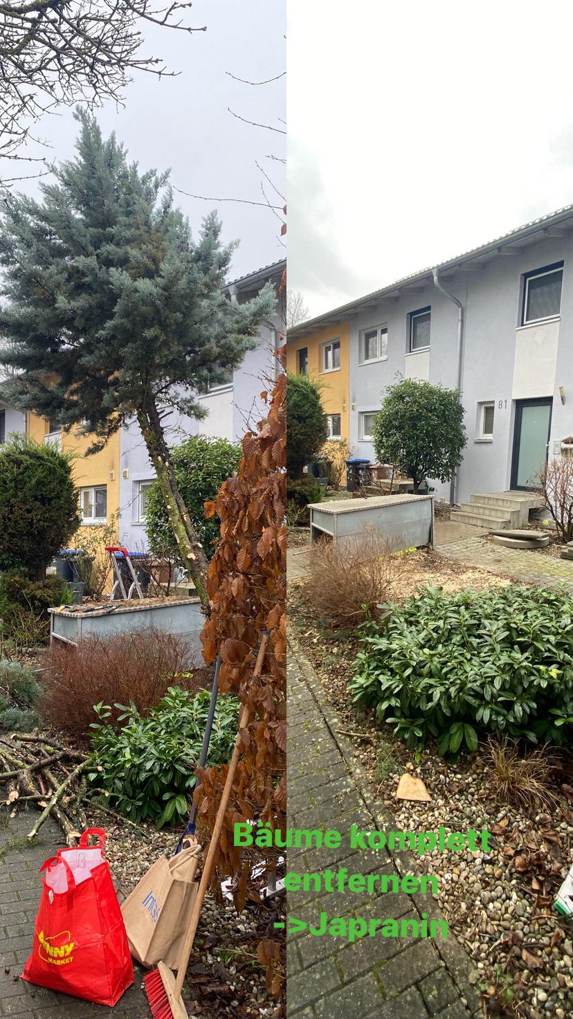 Arbeit von Japranin, Bild 15