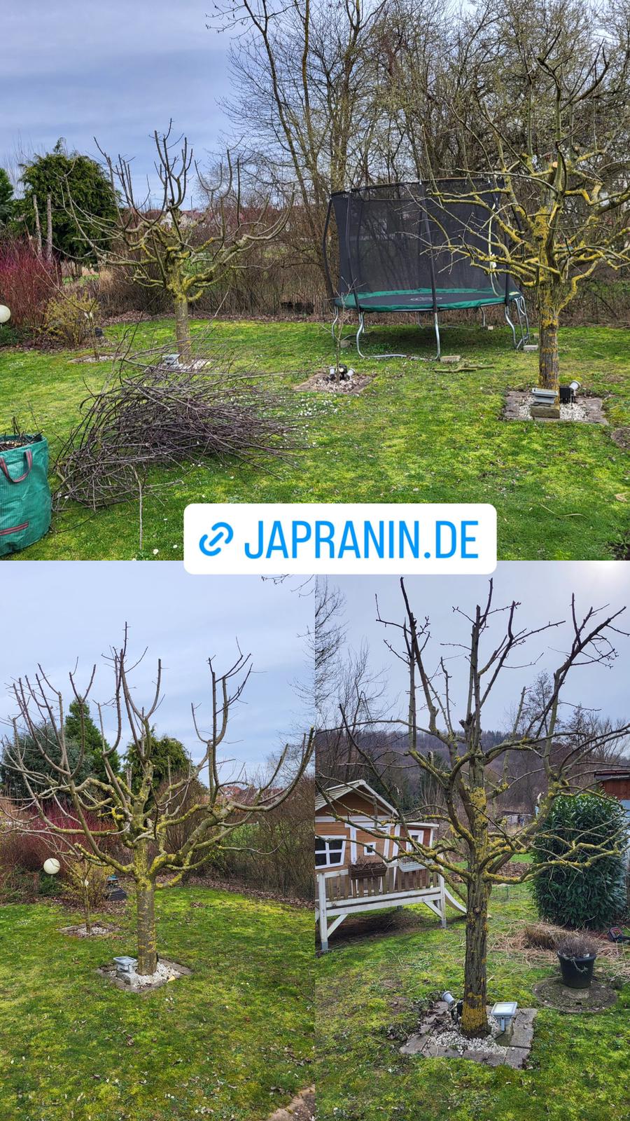 Arbeit von Japranin, Bild 19