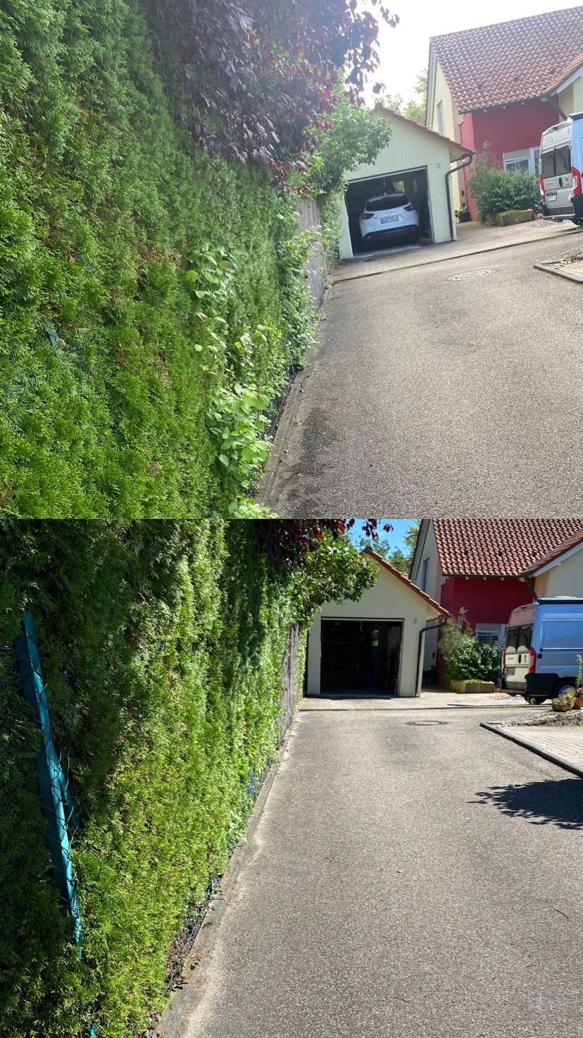 Arbeit von Japranin, Bild 2