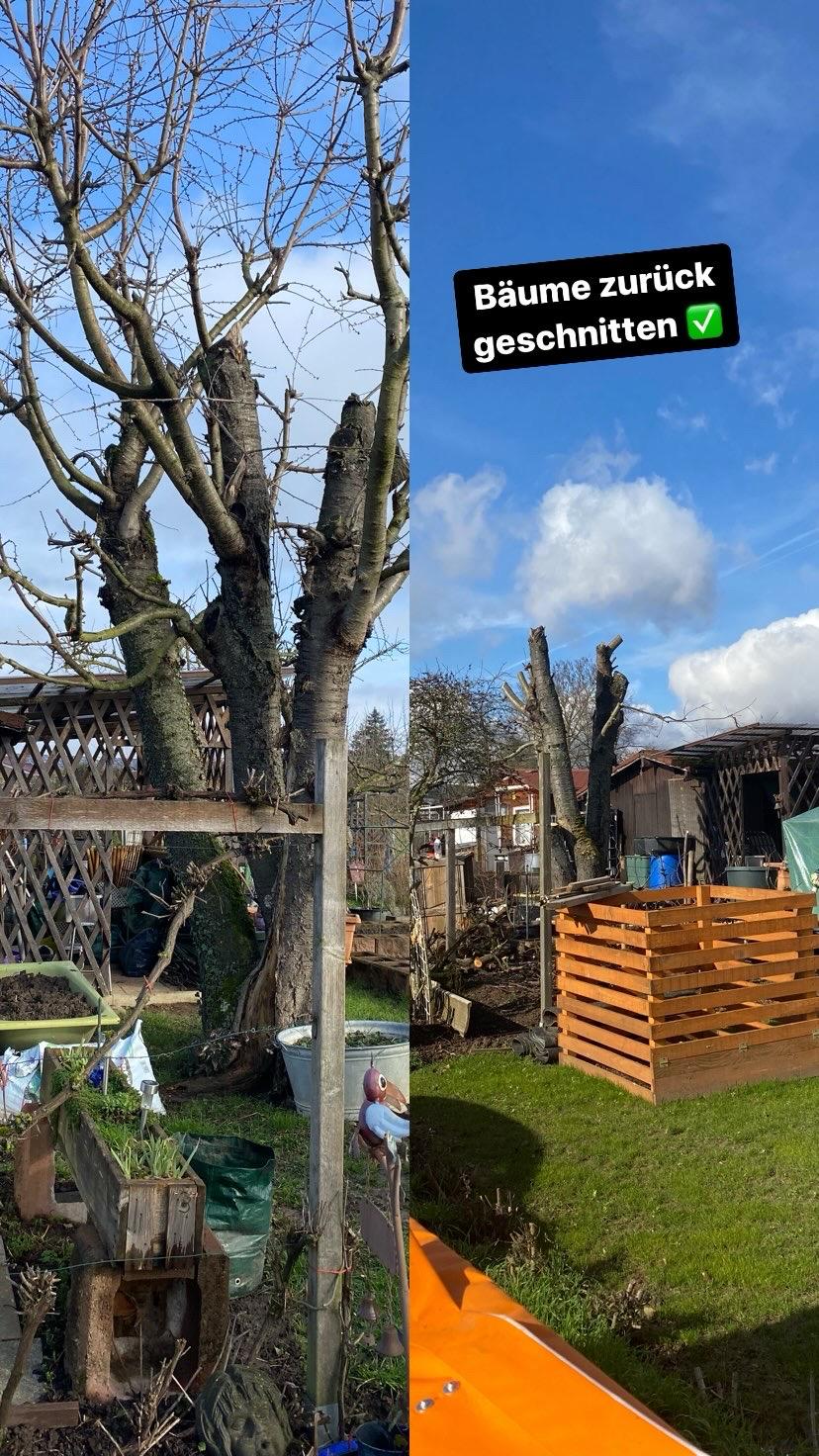 Arbeit von Japranin, Bild 22
