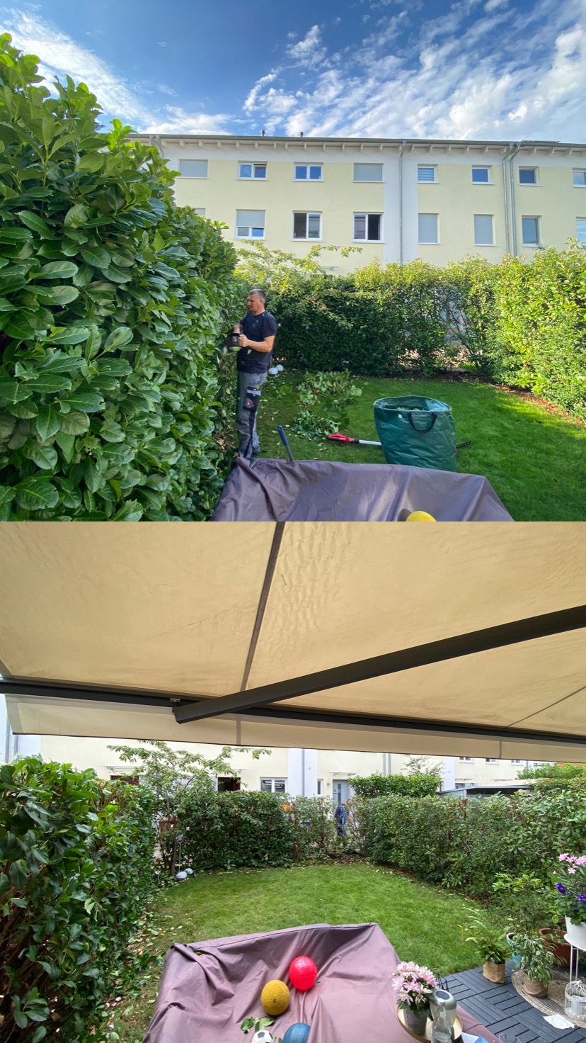 Arbeit von Japranin, Bild 3