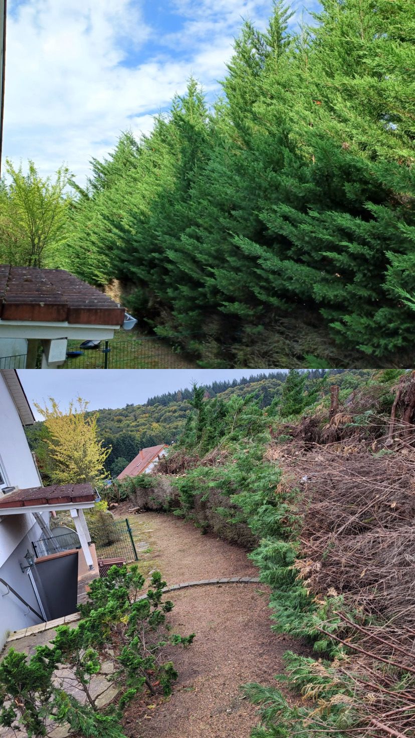 Arbeit von Japranin, Bild 8